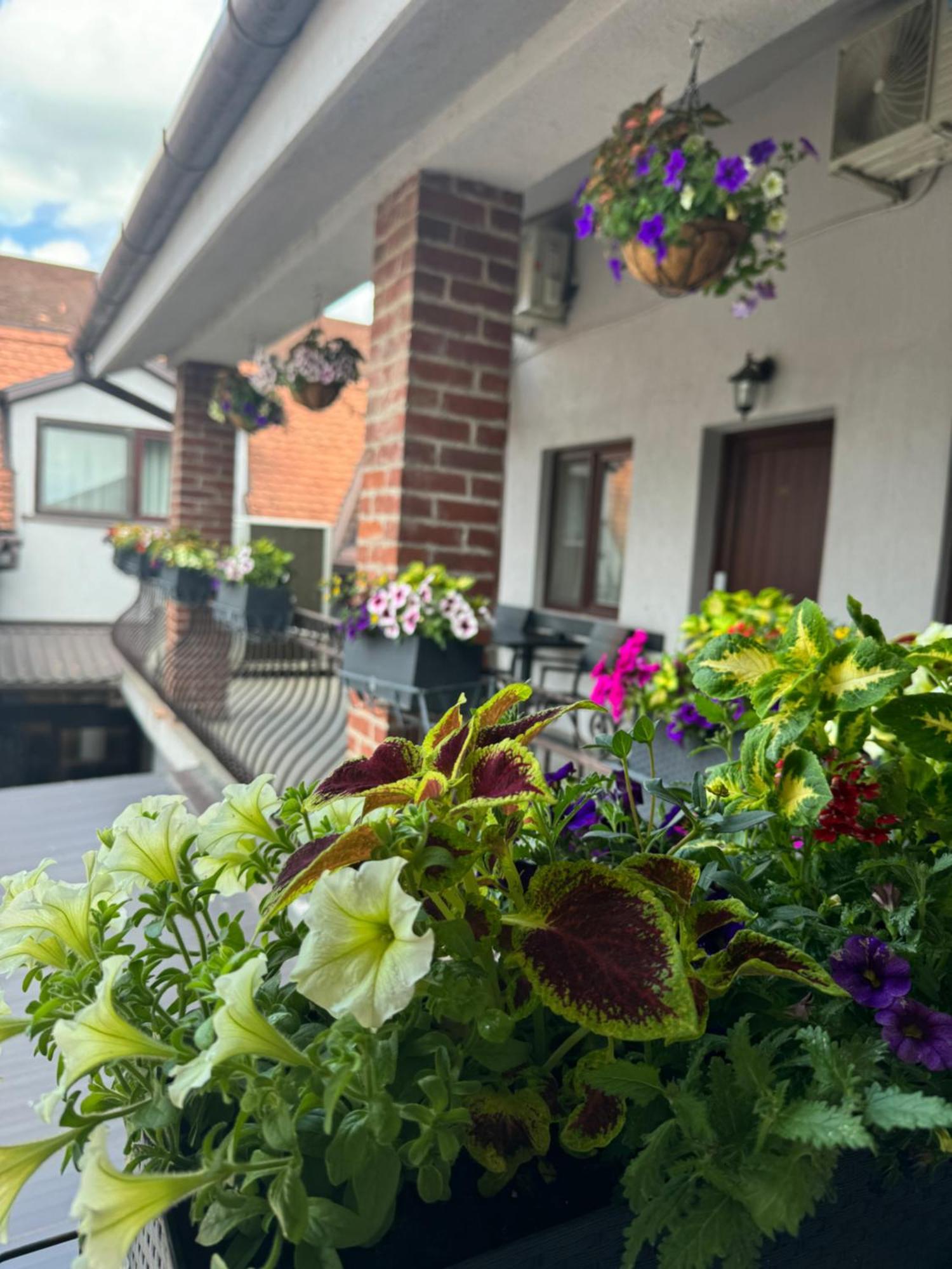 Casa Mignon Hotel Oradea Luaran gambar