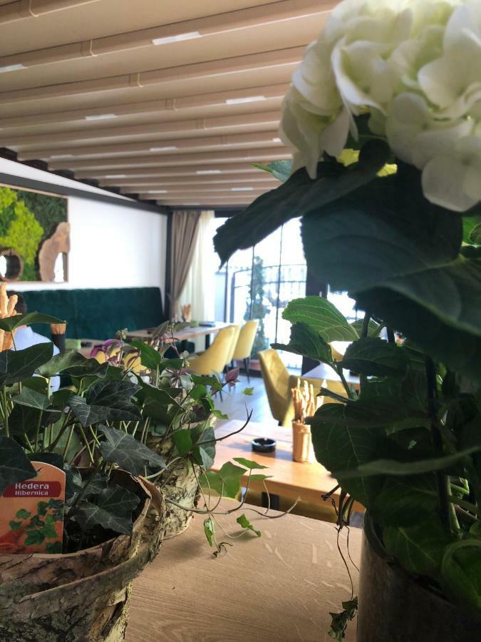 Casa Mignon Hotel Oradea Luaran gambar